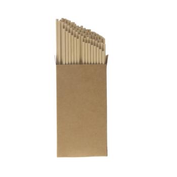 Pack of 100 paper straws"Nature"